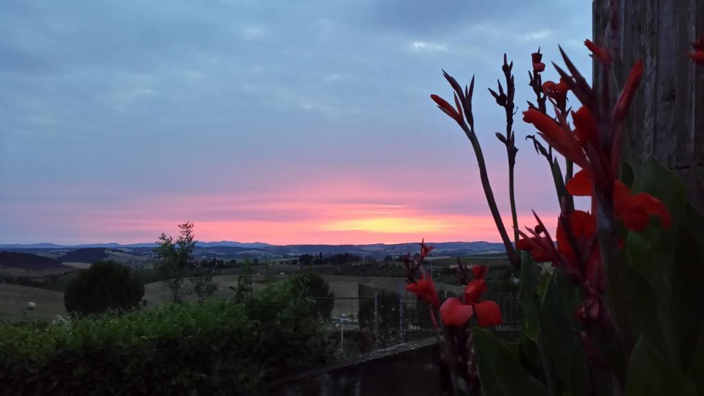 Agriturismo Marruchetone Vecchio Manciano Extérieur photo
